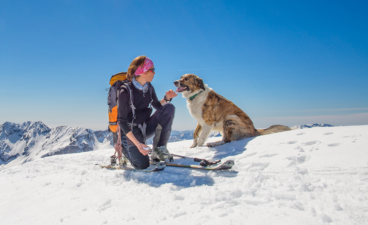 Skiurlaub mit Hund